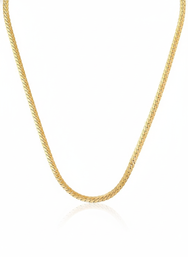 charms Gold Omega chain