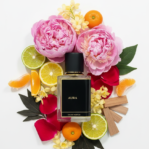 Gemini_Generated_Image_xbvwxdxbvwxdxbvw