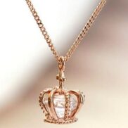 WhatsApp Image 2025-12-20 at 6.20.01 PM