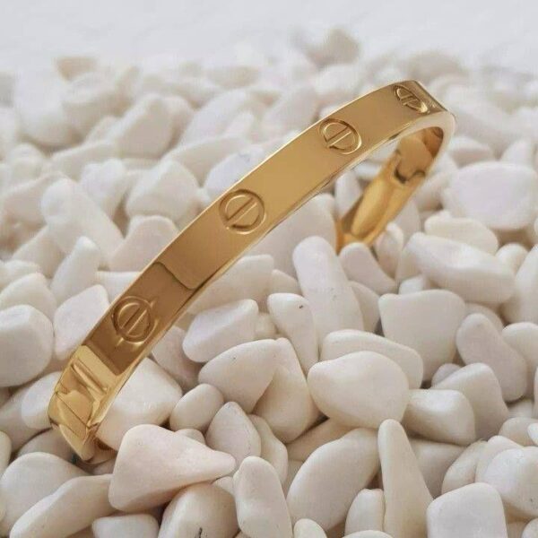 WhatsApp Image 2026-03-10 at 11.19.59 PM (6)