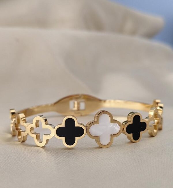 WhatsApp Image 2026-03-11 at 12.42.44 AM