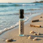 WhatsApp Image 2026-04-12 at 4.14.51 PM (1)