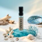 WhatsApp Image 2026-04-12 at 4.14.52 PM