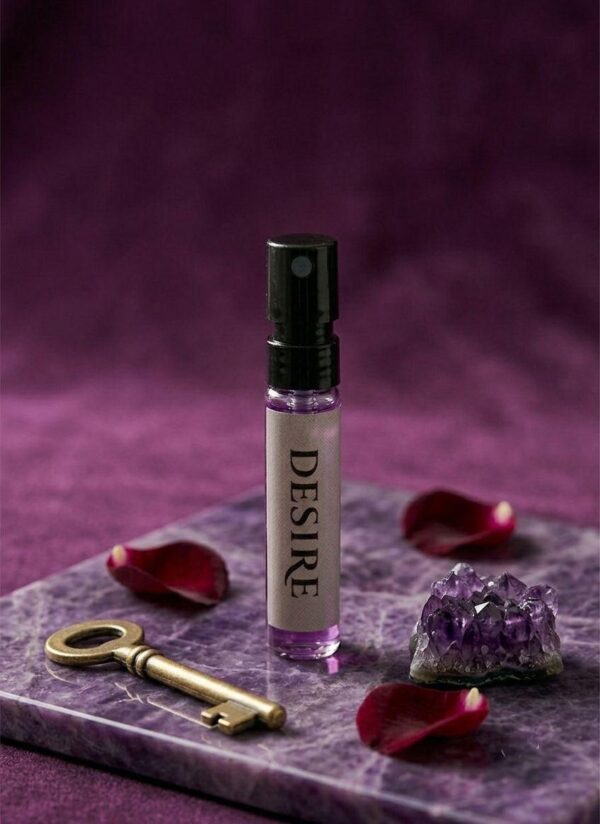 WhatsApp Image 2026-04-12 at 4.20.42 PM (1)