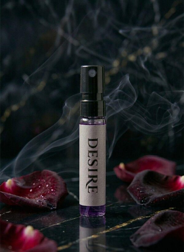 WhatsApp Image 2026-04-12 at 4.20.42 PM